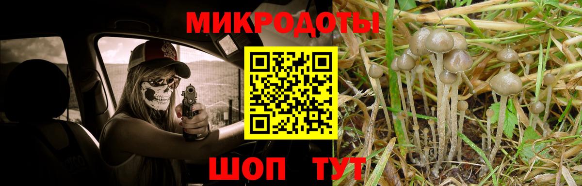 Галлюциногенные грибы мицелий  Вход с VPN  Сердобск  Галлюциногенные грибы ЛСД 